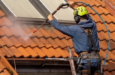 Démoussage et hydrofuge de toiture au Poizat-Lalleyriat